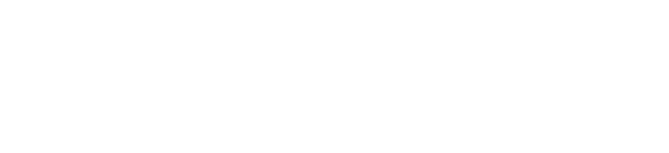 Die Webwerft